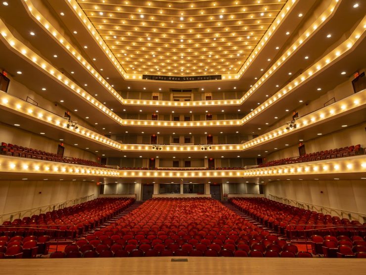 the sleeping beauty flint