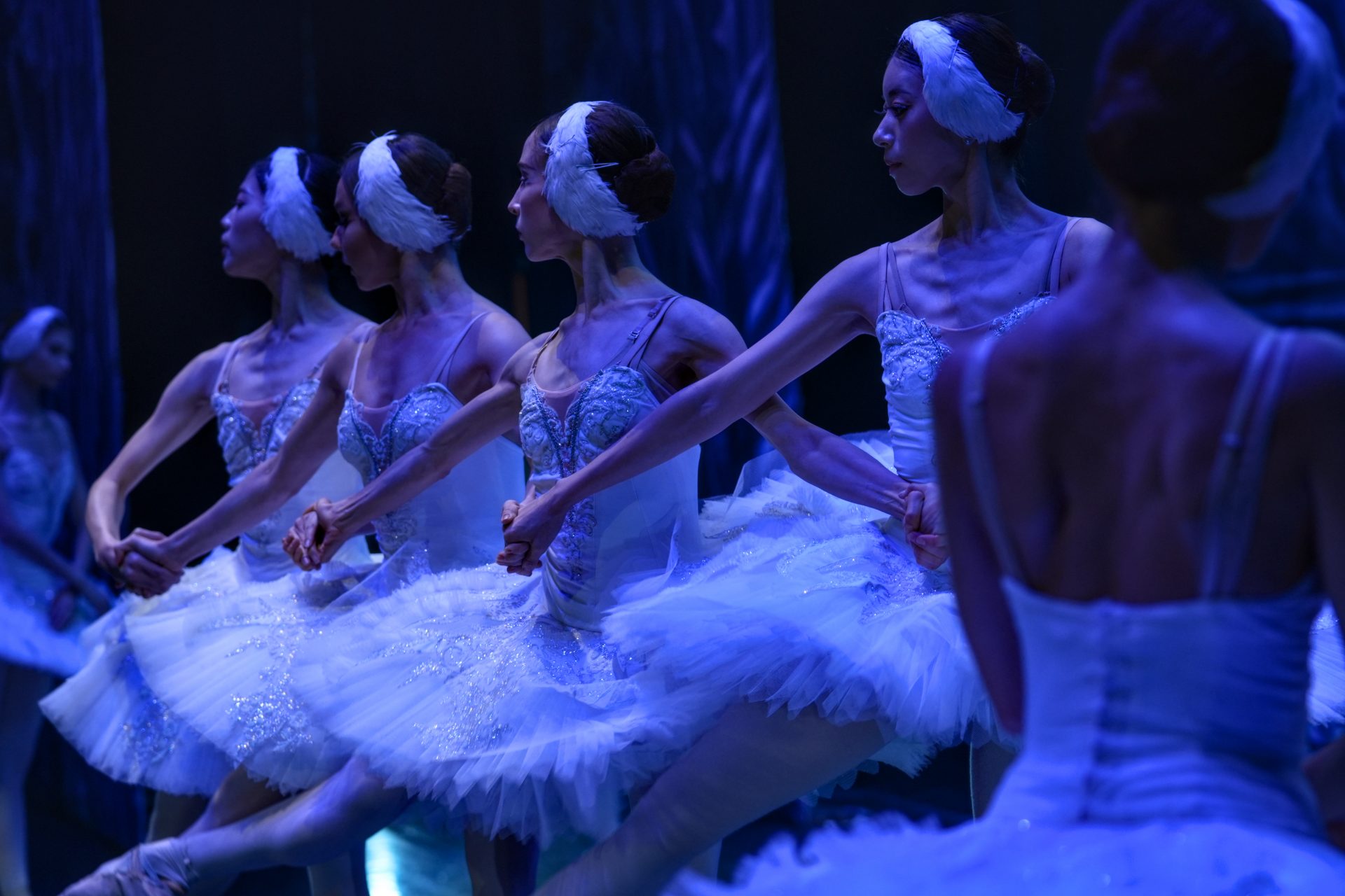 Swan Lake in Baltimore, MD