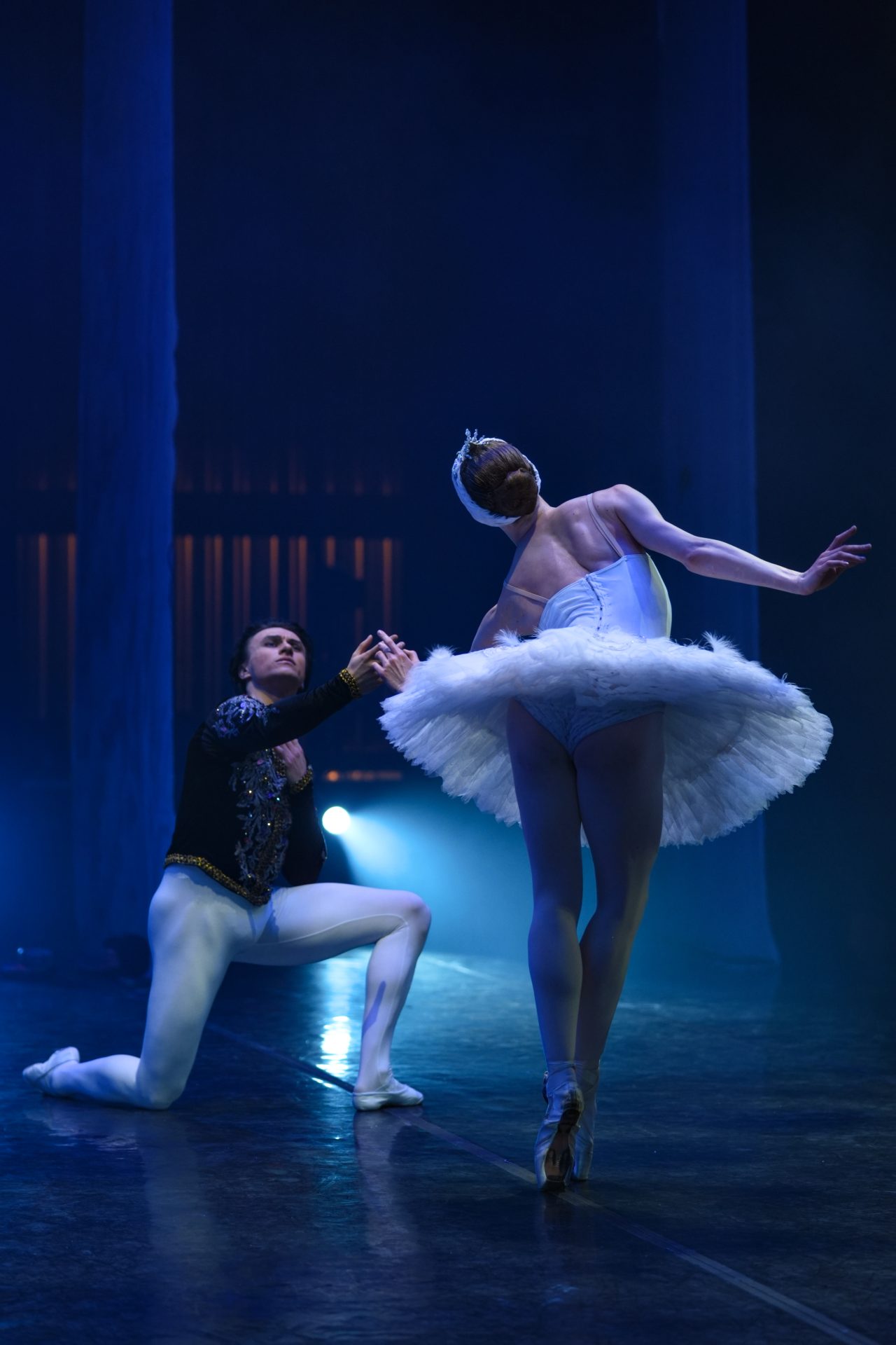 Swan Lake in Kingston, NY